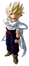 gohan2.GIF (10933 bytes)
